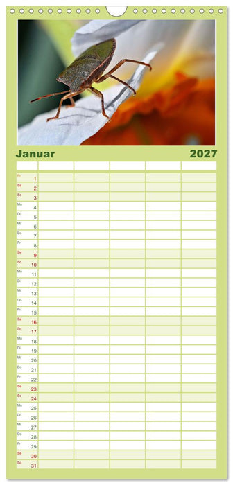 Zwischen Grashalm und Blüte (CALVENDO Familienplaner 2027)