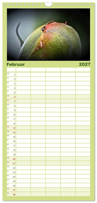 Zwischen Grashalm und Blüte (CALVENDO Familienplaner 2027)