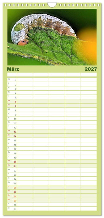 Zwischen Grashalm und Blüte (CALVENDO Familienplaner 2027)