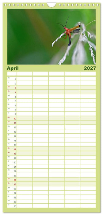 Zwischen Grashalm und Blüte (CALVENDO Familienplaner 2027)