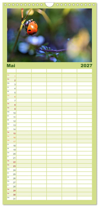 Zwischen Grashalm und Blüte (CALVENDO Familienplaner 2027)