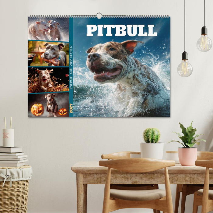Pitbull - Energie auf vier Pfoten (CALVENDO Wandkalender 2027)