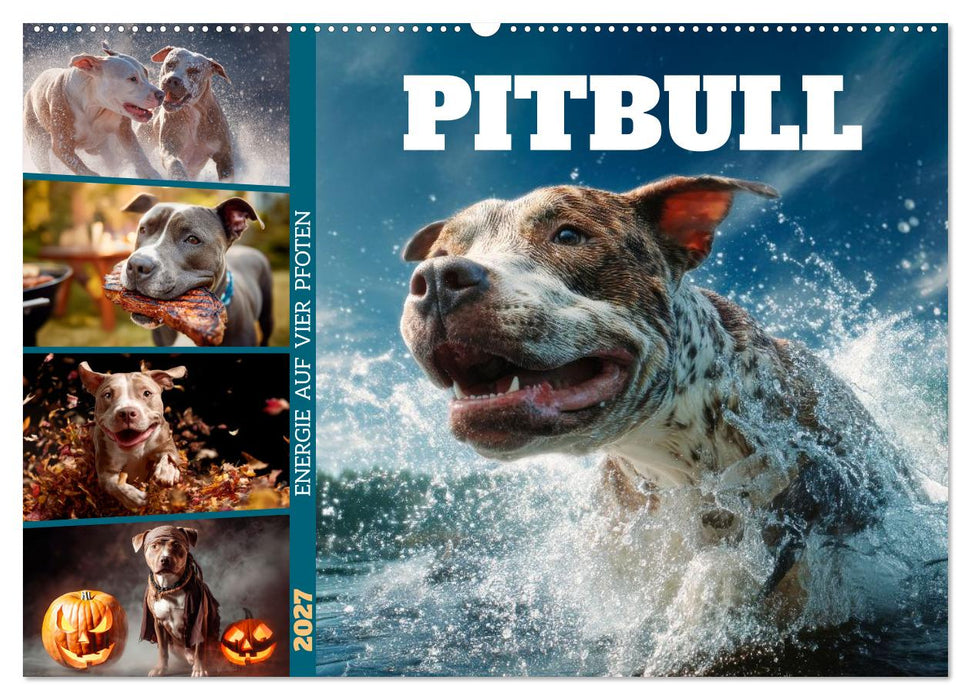 Pitbull - Energie auf vier Pfoten (CALVENDO Wandkalender 2027)