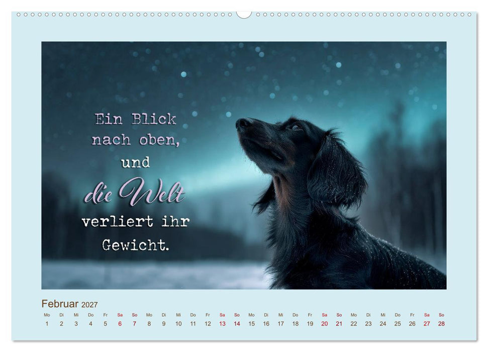 Dackelpoesie - Augenblicke voller Seele (CALVENDO Premium Wandkalender 2027)