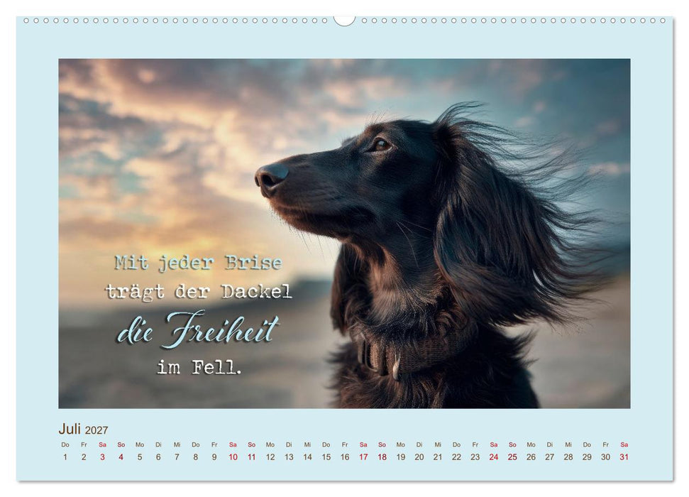 Dackelpoesie - Augenblicke voller Seele (CALVENDO Premium Wandkalender 2027)