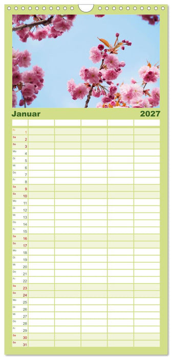 Japans wundervolle Kirschblüte (CALVENDO Familienplaner 2027)