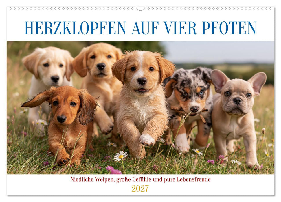Herzklopfen auf vier Pfoden (CALVENDO Wandkalender 2027)