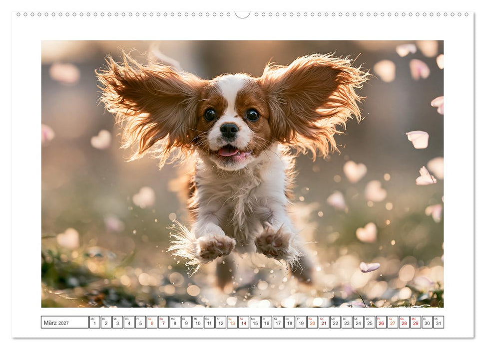 Herzklopfen auf vier Pfoden (CALVENDO Wandkalender 2027)