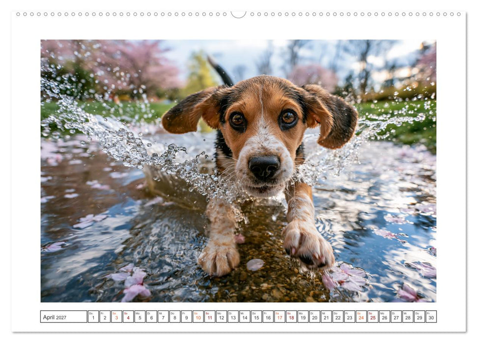 Herzklopfen auf vier Pfoden (CALVENDO Wandkalender 2027)