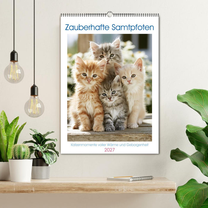 Zauberhafte Samtpfoten (CALVENDO Wandkalender 2027)