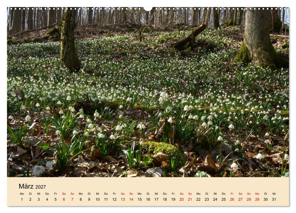 Franken - eine Region voller Naturwunder (CALVENDO Premium Wandkalender 2027)