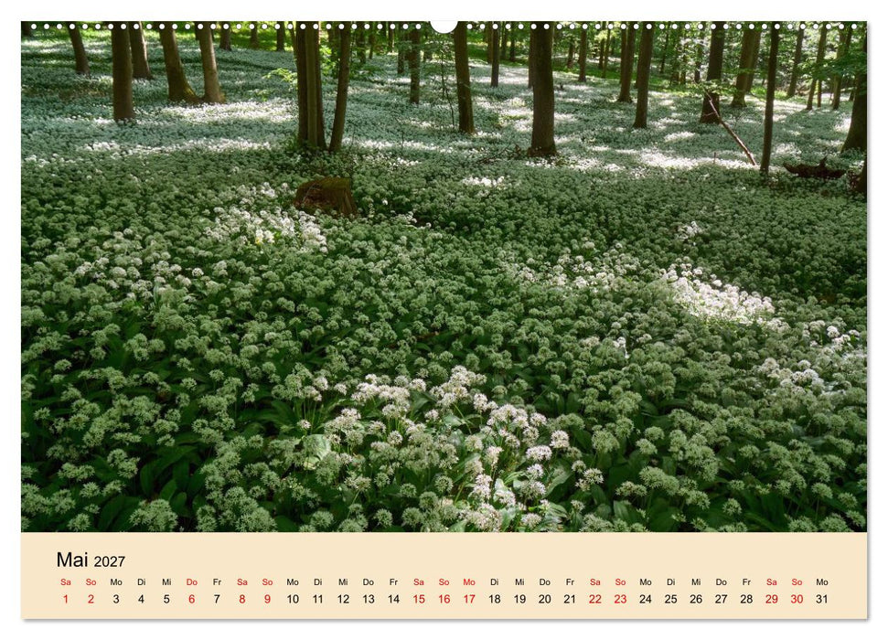 Franken - eine Region voller Naturwunder (CALVENDO Premium Wandkalender 2027)