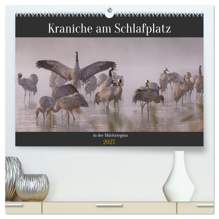 Kraniche am Schlafplatz in der Müritzregion (CALVENDO Premium Wandkalender 2027)