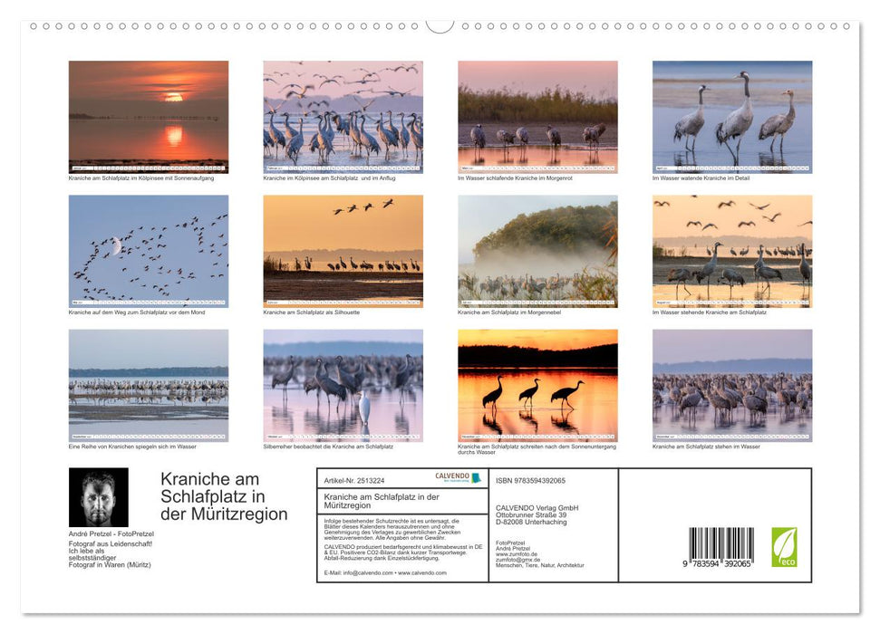 Kraniche am Schlafplatz in der Müritzregion (CALVENDO Premium Wandkalender 2027)