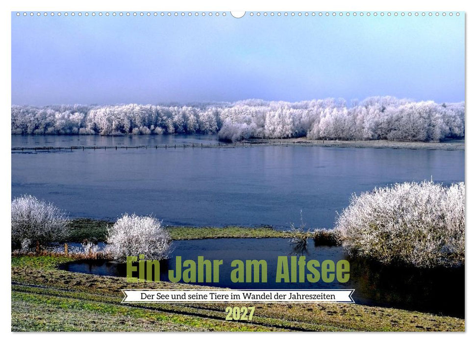 Ein Jahr am Alfsee (CALVENDO Wandkalender 2027)