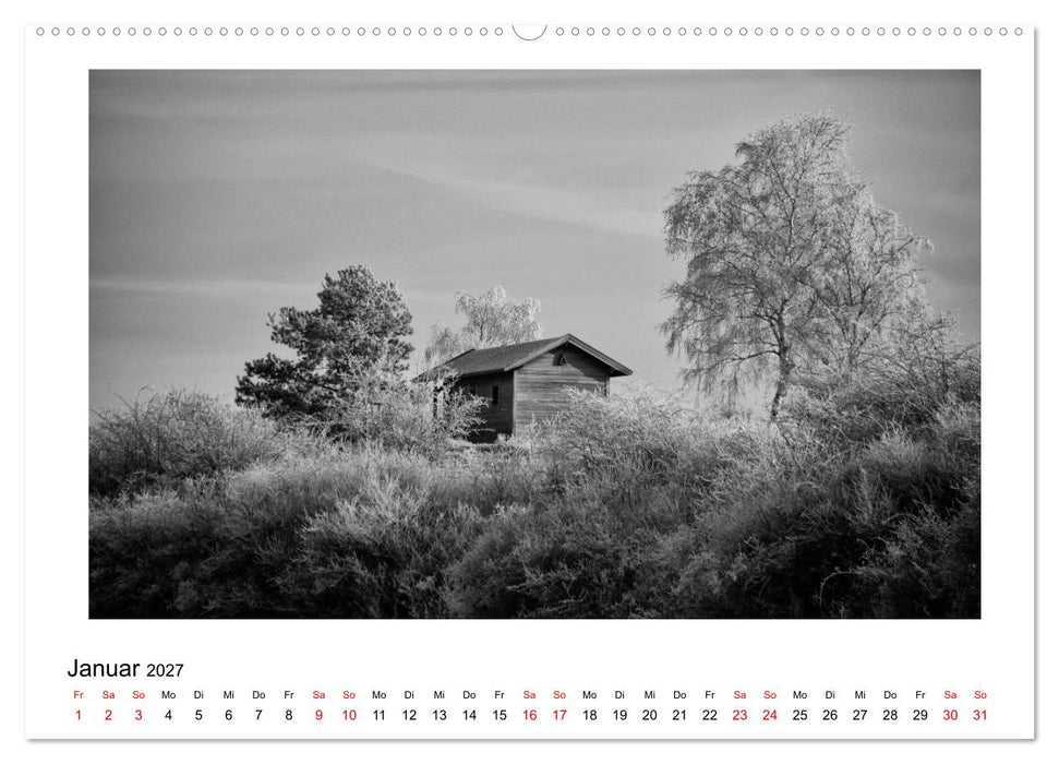 Ein Jahr am Alfsee (CALVENDO Wandkalender 2027)