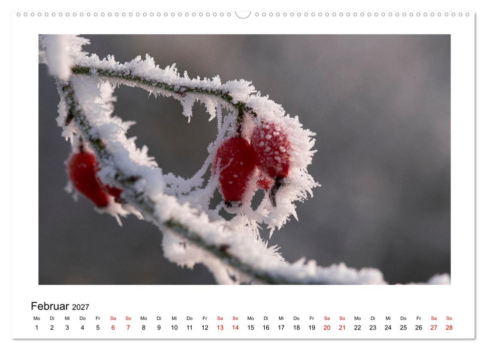 Ein Jahr am Alfsee (CALVENDO Wandkalender 2027)