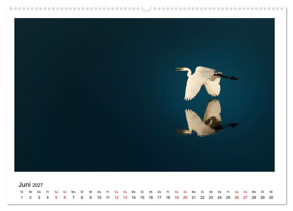 Ein Jahr am Alfsee (CALVENDO Wandkalender 2027)