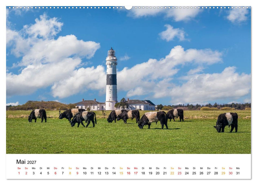 Sylt - Meine Trauminsel (CALVENDO Premium Wandkalender 2027)