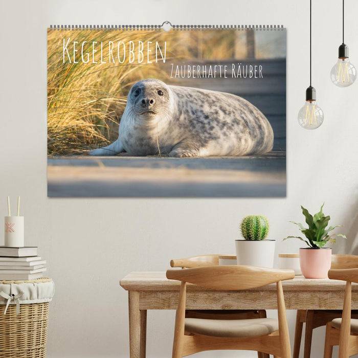 Kegelrobben Zauberhafte Räuber (CALVENDO Wandkalender 2027)