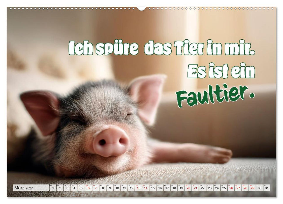 Saucool - Kein Bock auf langweilig (CALVENDO Premium Wandkalender 2027)