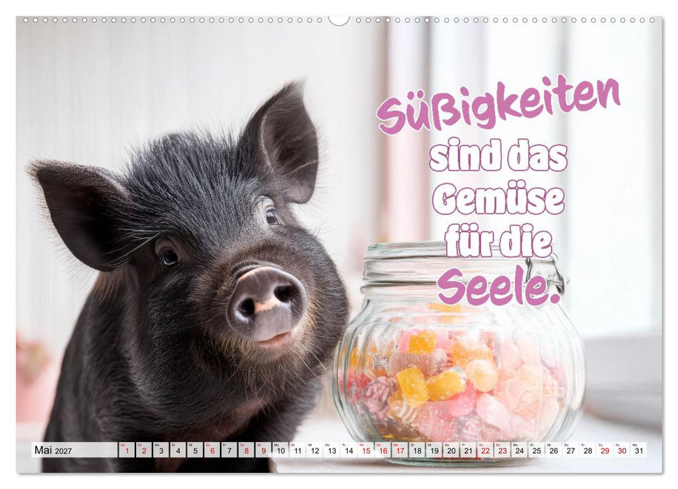 Saucool - Kein Bock auf langweilig (CALVENDO Premium Wandkalender 2027)