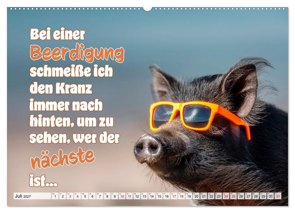 Saucool - Kein Bock auf langweilig (CALVENDO Premium Wandkalender 2027)
