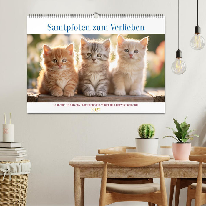 Samtpfoten zum Verlieben (CALVENDO Wandkalender 2027)