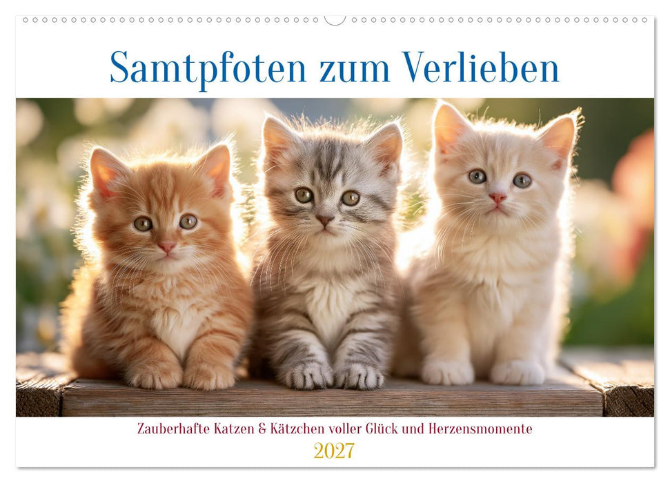 Samtpfoten zum Verlieben (CALVENDO Wandkalender 2027)