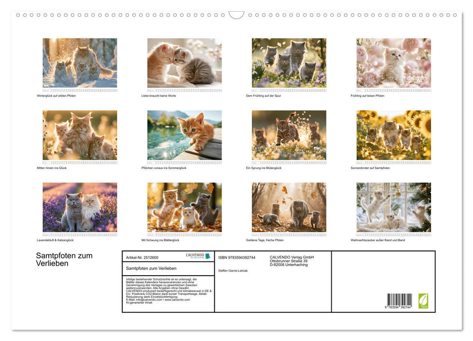 Samtpfoten zum Verlieben (CALVENDO Wandkalender 2027)