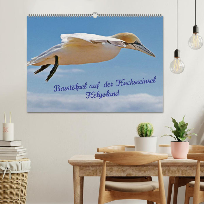 Basstölpel auf der Hochseeinsel Helgoland (CALVENDO Wandkalender 2027)