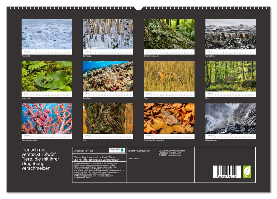 Tierisch gut versteckt - Zwölf Tiere, die mit ihrer Umgebung verschmelzen (CALVENDO Premium Wandkalender 2027)