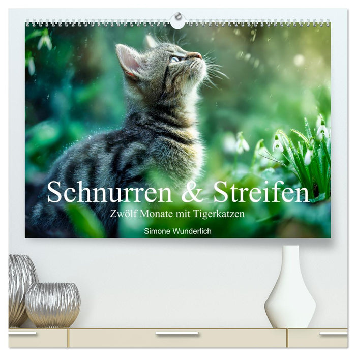 Schnurren & Streifen - Zwölf Monate mit Tigerkatzen (CALVENDO Premium Wandkalender 2027)