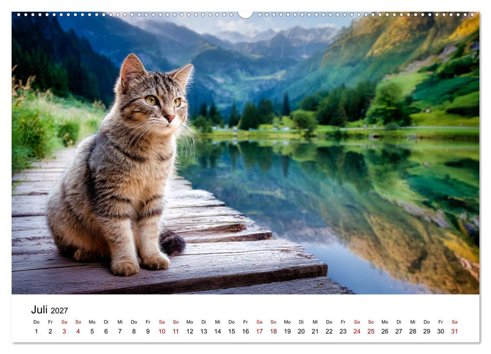 Schnurren & Streifen - Zwölf Monate mit Tigerkatzen (CALVENDO Premium Wandkalender 2027)
