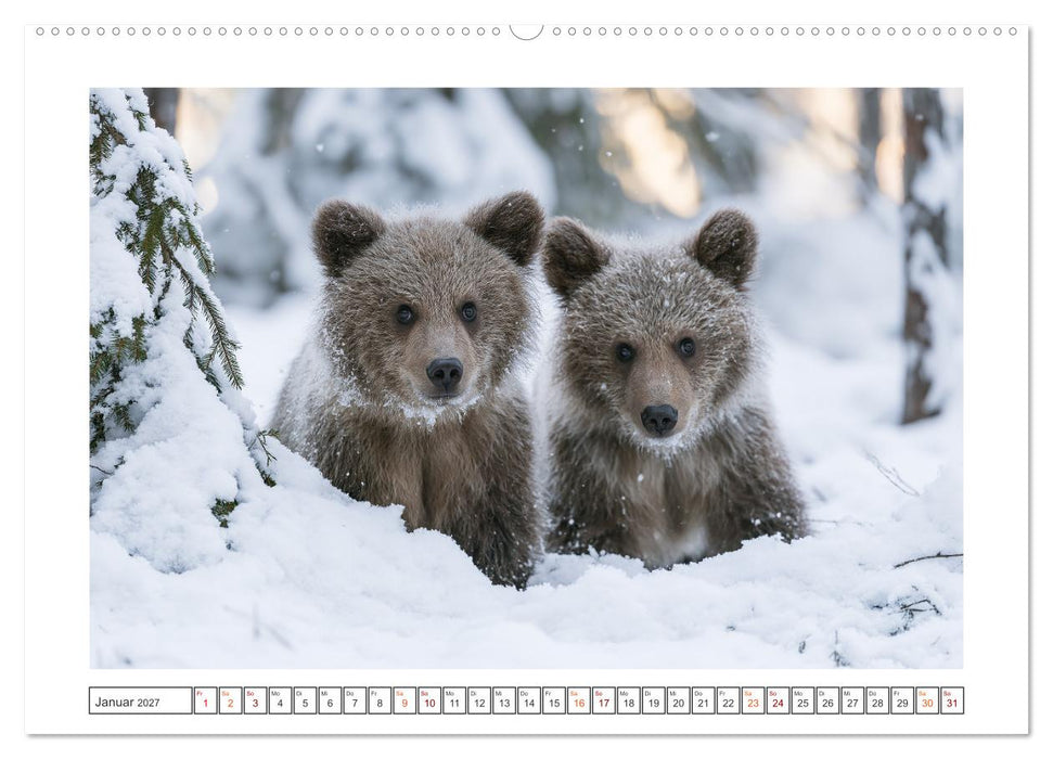 Wilde Herzen Europas (CALVENDO Premium Wandkalender 2027)