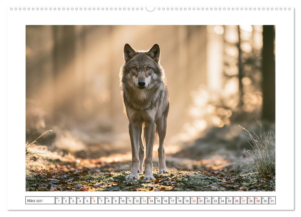 Wilde Herzen Europas (CALVENDO Premium Wandkalender 2027)