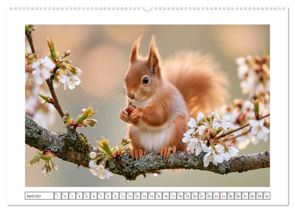 Wilde Herzen Europas (CALVENDO Premium Wandkalender 2027)