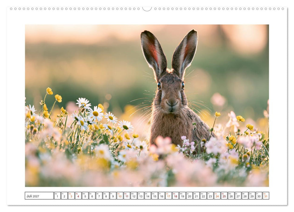 Wilde Herzen Europas (CALVENDO Premium Wandkalender 2027)