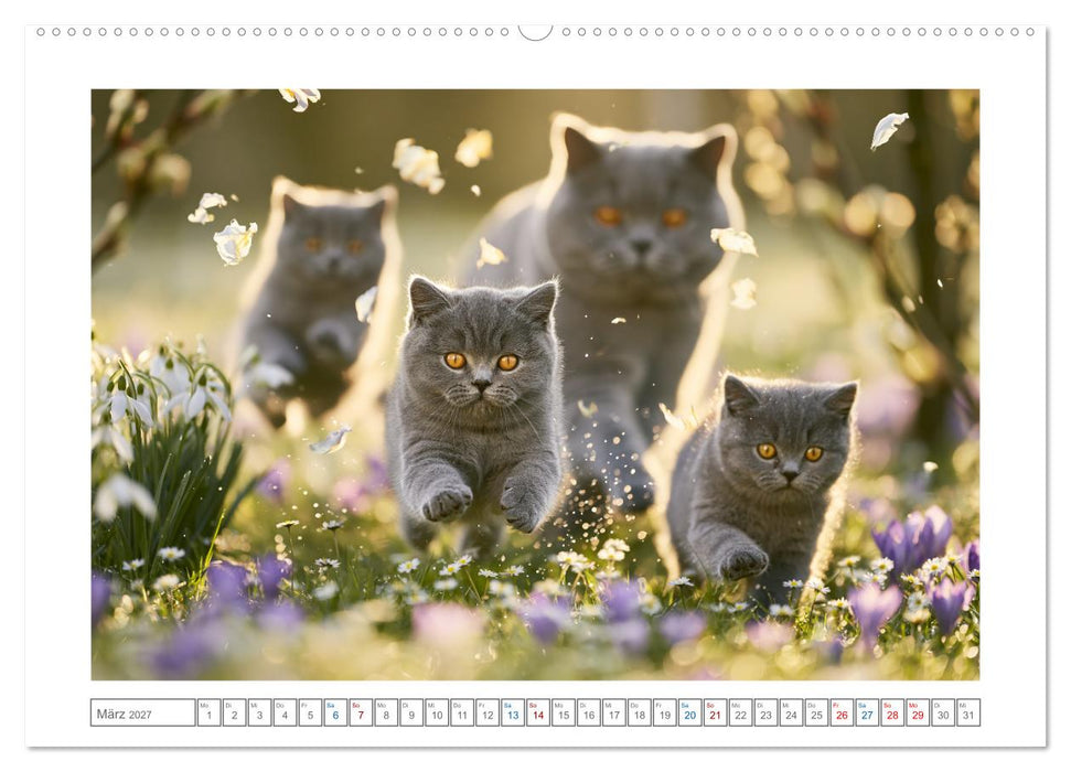 Samtpfoten zum Verlieben (CALVENDO Premium Wandkalender 2027)