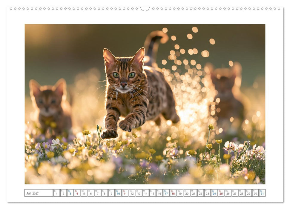 Samtpfoten zum Verlieben (CALVENDO Premium Wandkalender 2027)