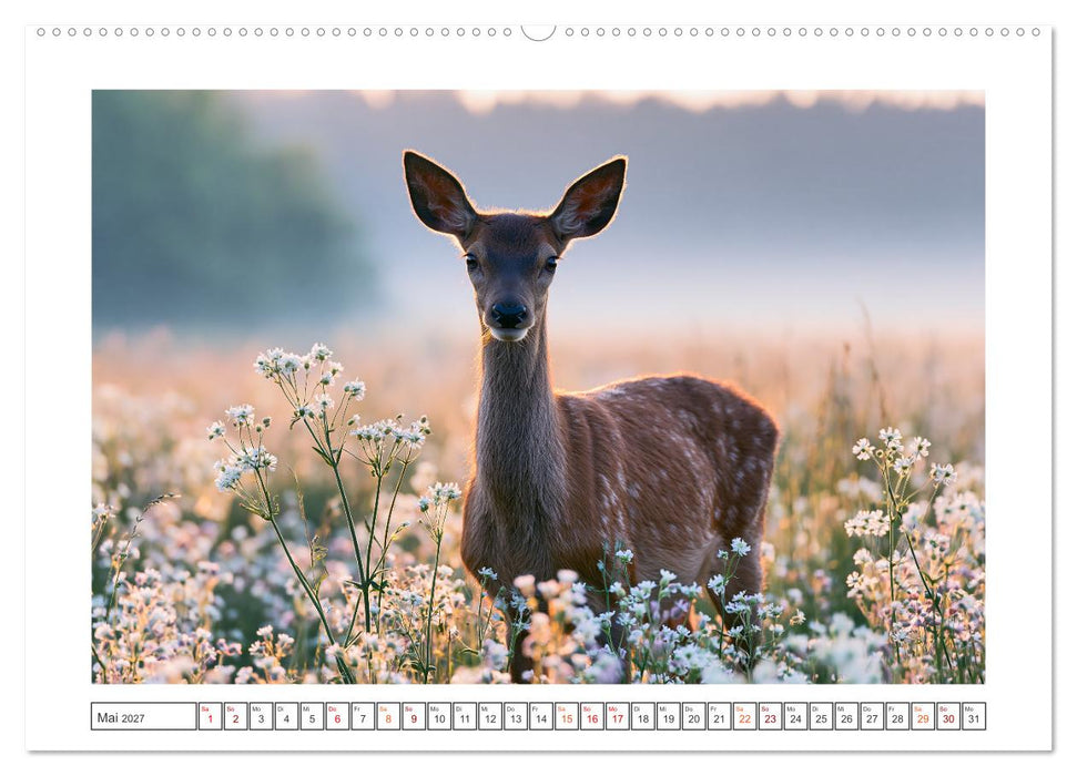Wilde Herzen Europas (CALVENDO Wandkalender 2027)
