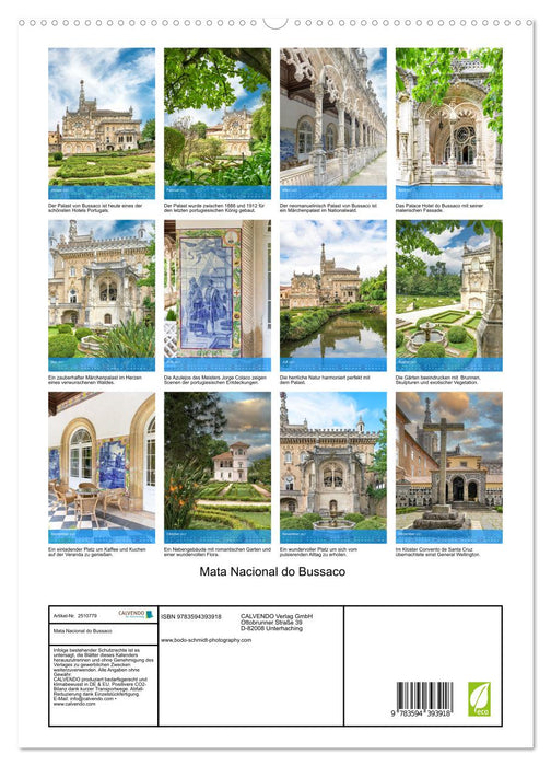 Mata Nacional do Bussaco (CALVENDO Premium Wandkalender 2027)