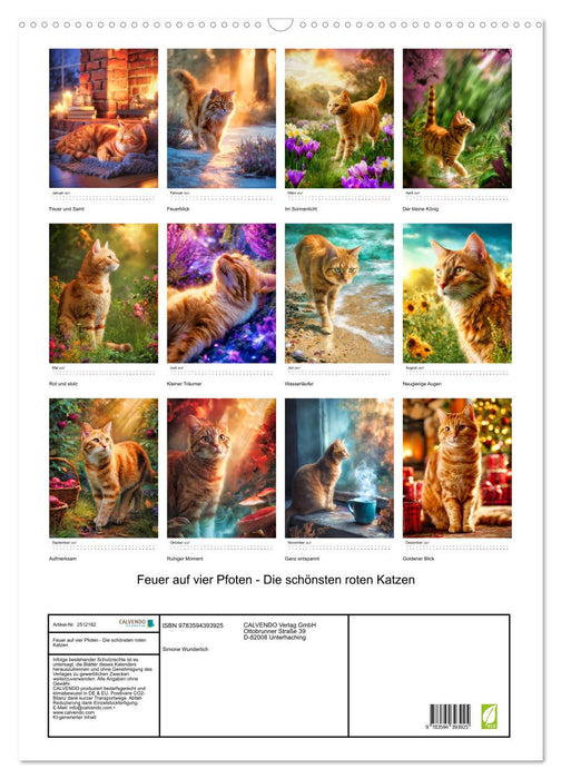Feuer auf vier Pfoten - Die schönsten roten Katzen (CALVENDO Wandkalender 2027)