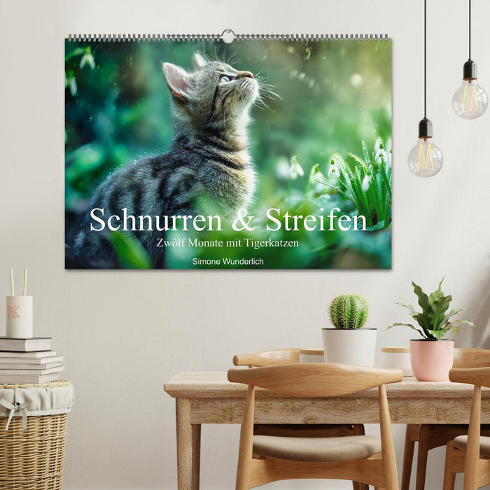 Schnurren & Streifen - Zwölf Monate mit Tigerkatzen (CALVENDO Wandkalender 2027)