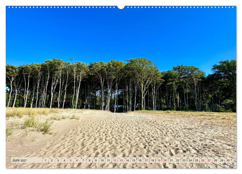 Fischland - Zwischen Ostsee und Bodden (CALVENDO Premium Wandkalender 2027)