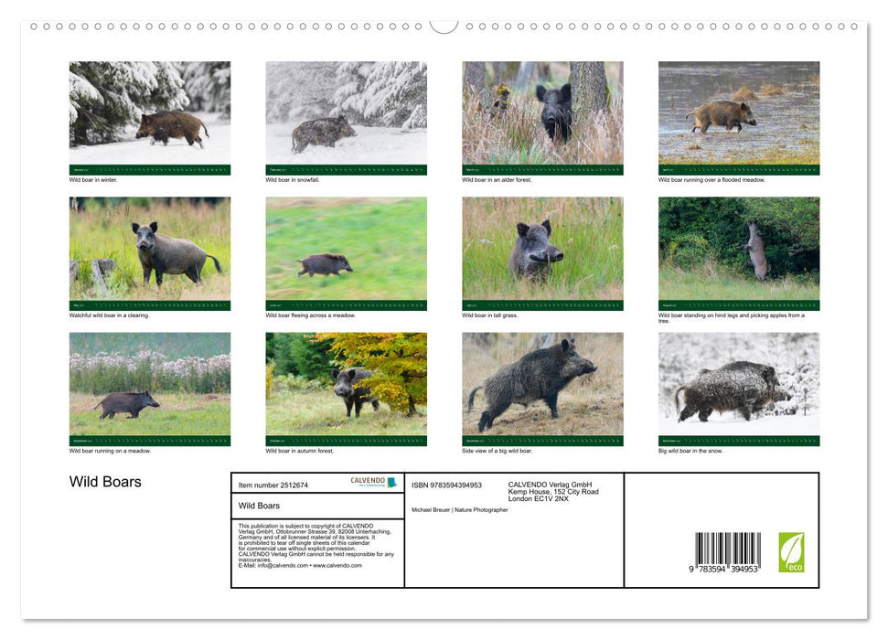 Wild Boars (CALVENDO Premium-Calendar 2027)