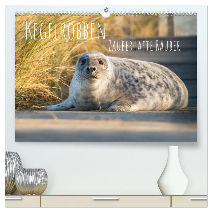 Kegelrobben Zauberhafte Räuber (CALVENDO Premium Wandkalender 2027)