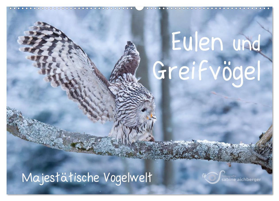 Eulen und Greifvögel - Majestätische Vogelwelt (CALVENDO Wandkalender 2027)