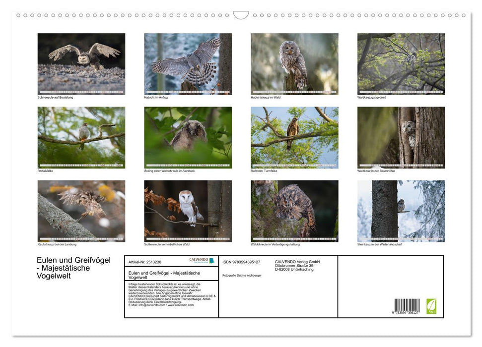 Eulen und Greifvögel - Majestätische Vogelwelt (CALVENDO Wandkalender 2027)