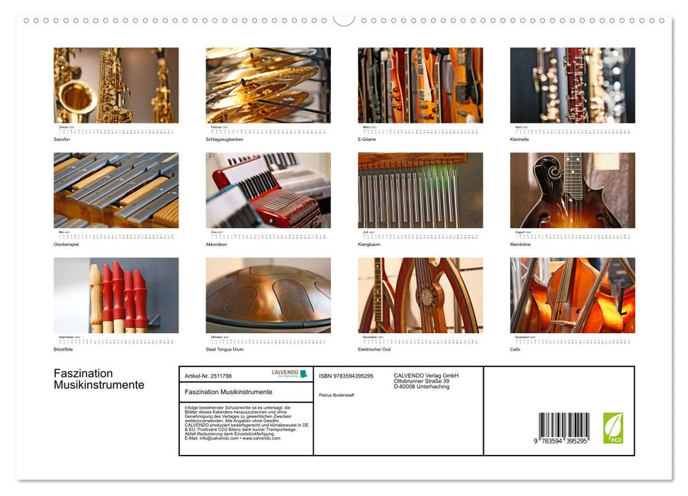Faszination Musikinstrumente (CALVENDO Premium Wandkalender 2027)